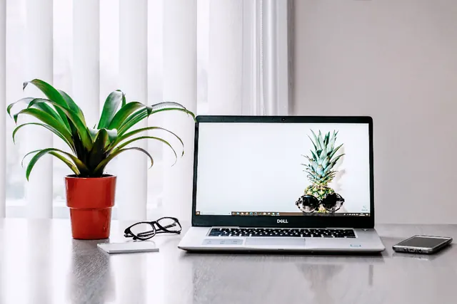 Laptop Desk